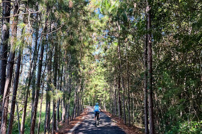 E Bike Hire - Northern Rivers Rail Trail - Self Guided Tour - Why Choose This Tour?
