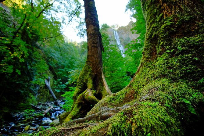 e-bike-in-oregons-columbia-river-gorges