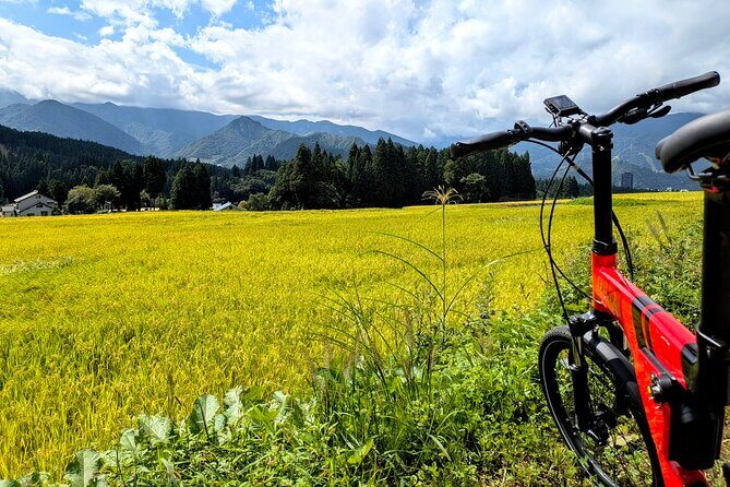 E Bike in Yuzawa Mountain Views Lake Daigenta and Rice Terraces - The Sum Up: Why This Tour is a Great Choice