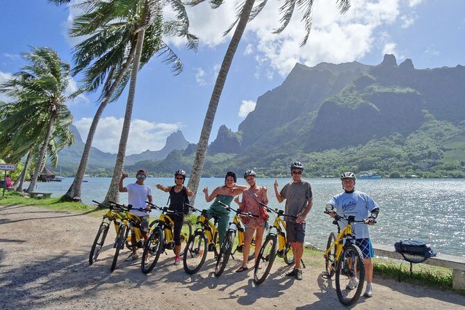 E-Bike Moorea Electric Bike Belvedere Tour (2 people minimum) - Who Will Love This Tour?