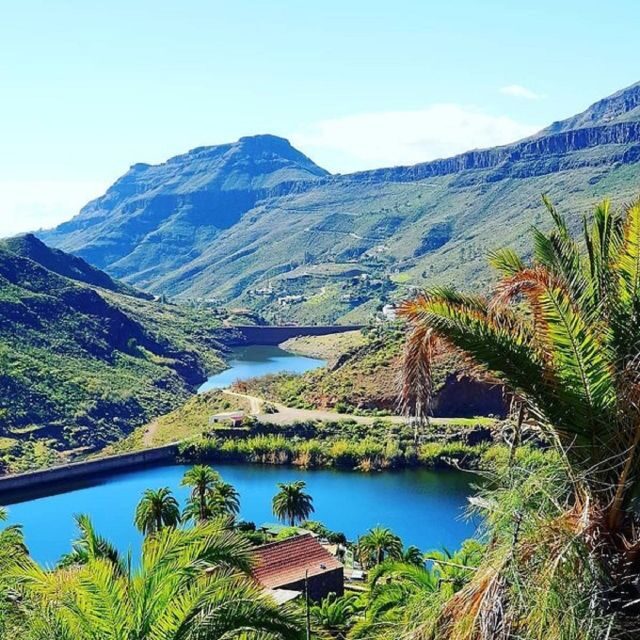 E-Bike Mountain Tour in Natural Park +Option Tapas in a Cave - FAQs
