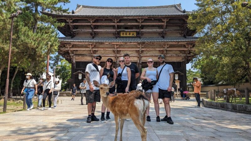 E-Bike Nara Highlights - Todaiji, Knives, Deer, Shrine - Authentic, Balanced, and Fun: Our Final Thoughts