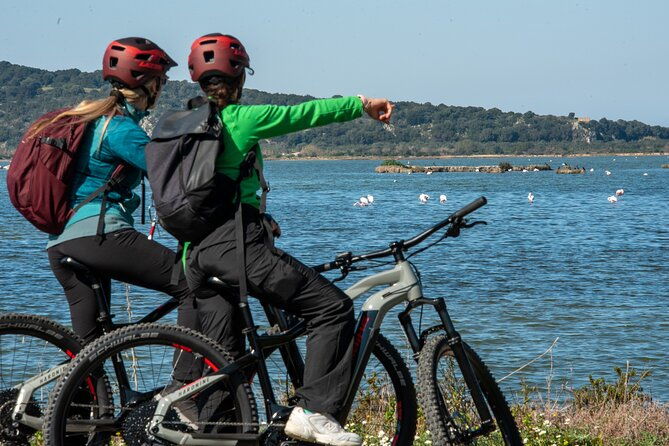 e-bike-navarino-trail