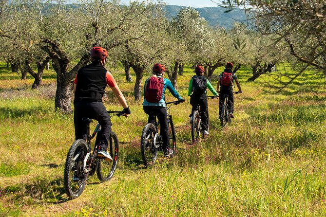 e-bike-navarino-trail