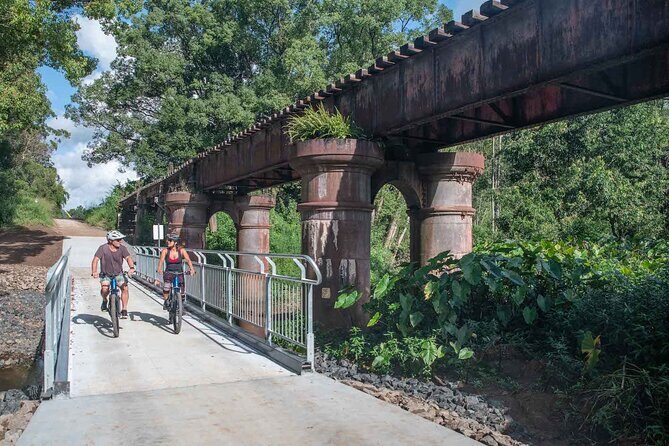 E bike Rail Trail and Husk Distillery Lunch Gold Coast and Byron - Key Points