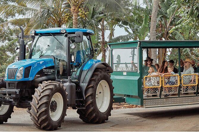 E-bike Rail Trail & Tropical Fruit World Tour: Gold Coast & Byron - The Experience in Perspective