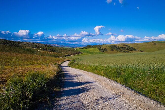 e-bike-rent-sierra-de-las-nieve-alozaina-free-gps-tracks-and-app-included