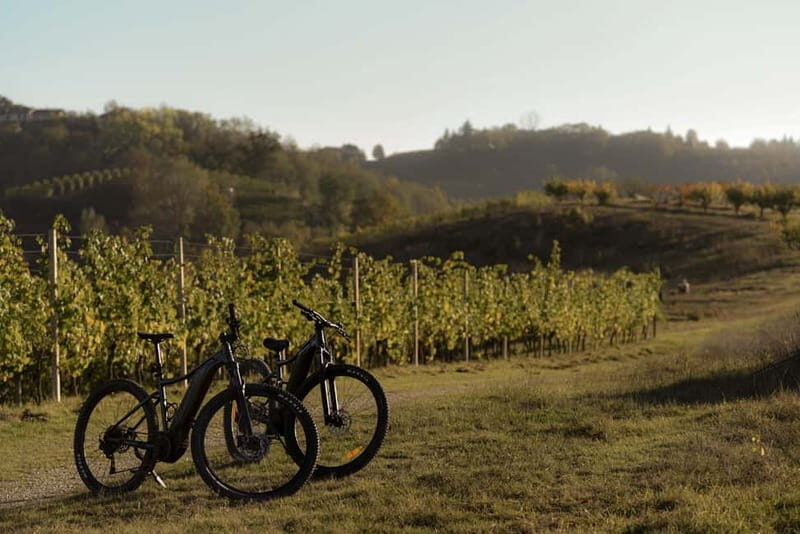 E-Bike Rental in Roero - Exploring Piedmont’s Roero on E-MTBs: What You Can Expect
