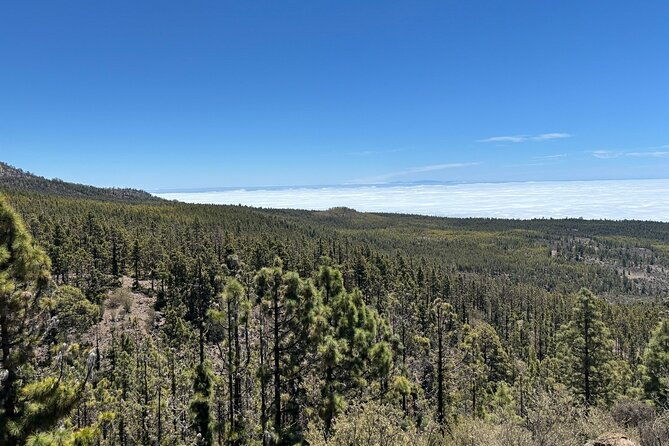 e-bike-ride-at-chinyero-natural-reserve-on-premium-bikes