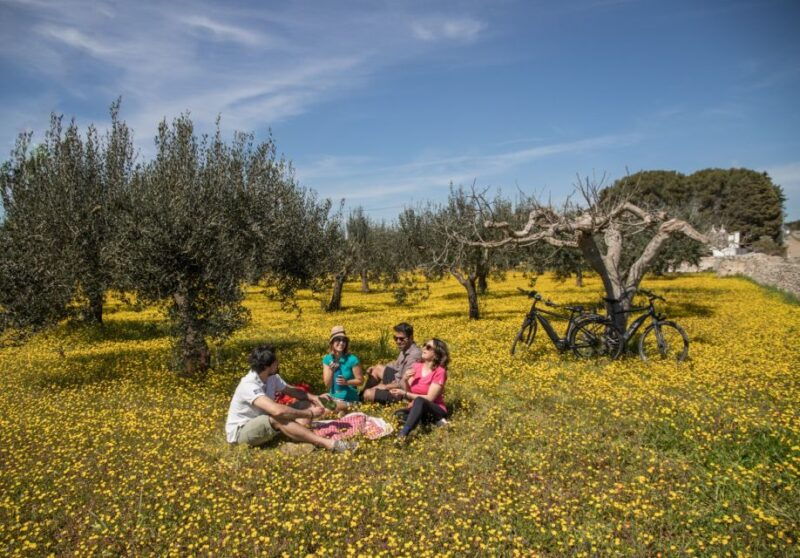 e-bike-ring-tour-between-locorotondo-and-martina-franca-2