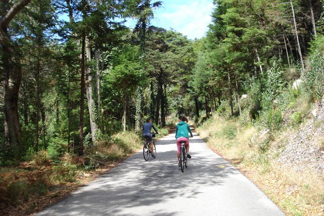 e-bike-self-guided-sintra-cascais-private-tour-from-lisbon