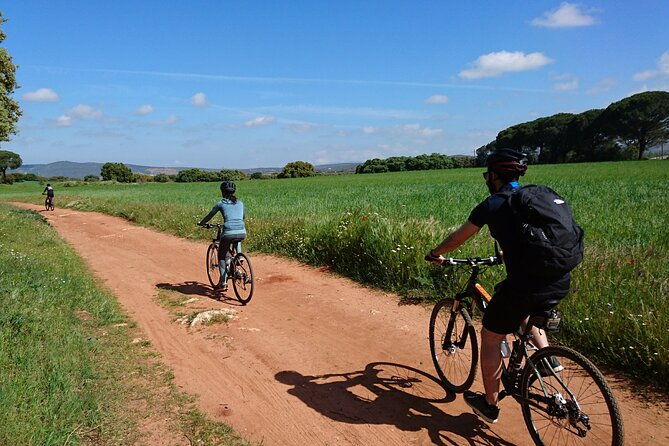 e-bike-self-guided-winery-tour-20km-easy