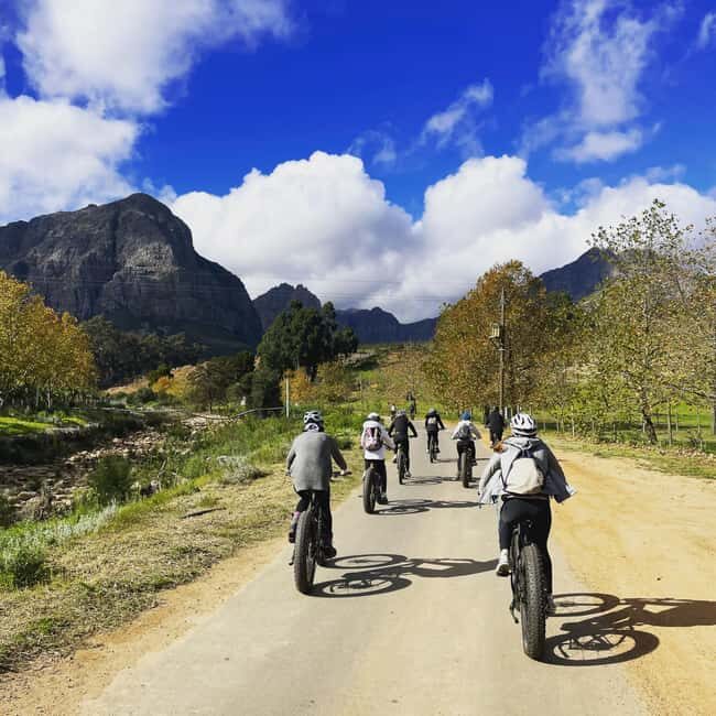 E-Bike Stellenbosch Winelands - Full Day Private Tour - Key Points