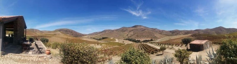e-Bike Through Douro Valley Wine Region for Half Day Tour - An Introduction to the Douro Valley E-Bike Tour