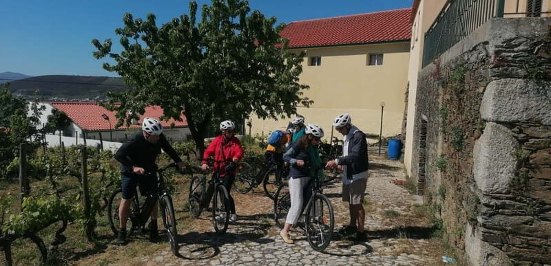 e-Bike Through Douro Valley Wine Region for Half Day Tour - What to Expect: A Ride Through Iconic Douro Highlights