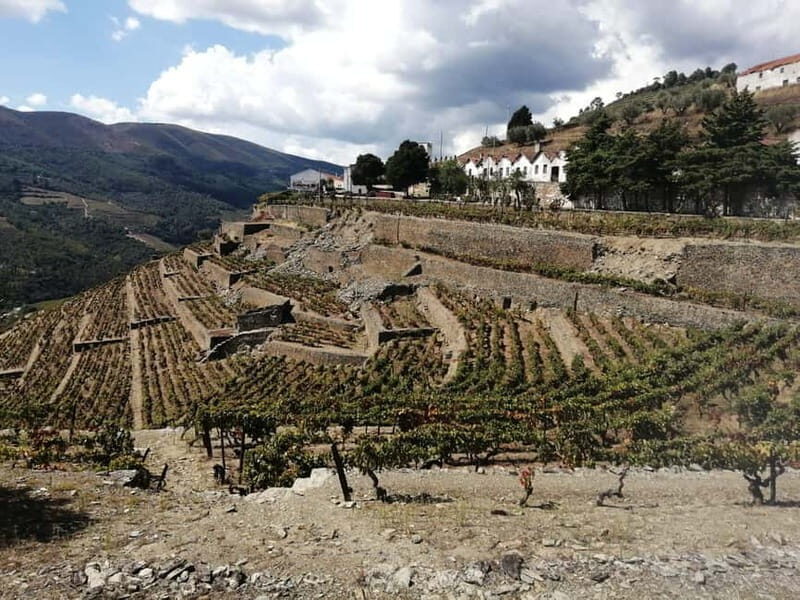 e-Bike Through Douro Valley Wine Region for Half Day Tour - Price and Value