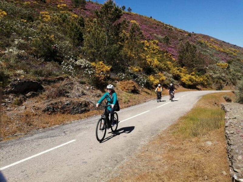 e-Bike Through Douro Valley Wine Region for Half Day Tour - Who Will Love This Tour?