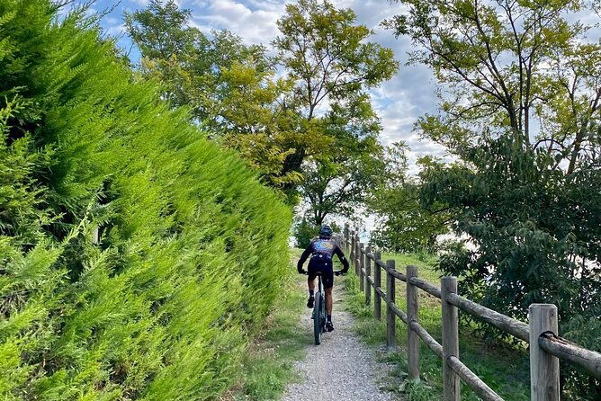 e-bike-tour-and-wine-tasting-from-desenzano-inland-3