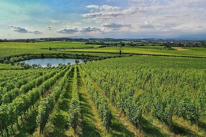 e-bike-tour-and-wine-tasting-from-desenzano-inland-4