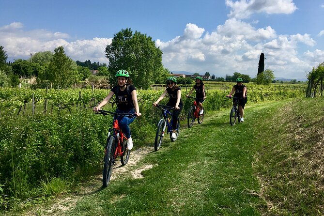 e-bike-tour-and-wine-tasting-in-lazise-countryside