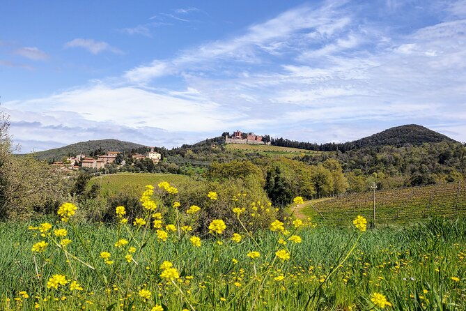 e-bike-tour-explore-the-chianti-its-enogastronomy-and-castles