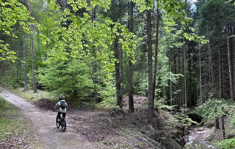 E-BIKE TOUR & Flavours at Fausior Mount - Practical Details and Tips
