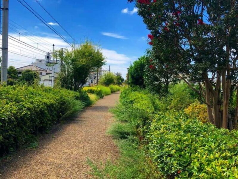 e-bike tour Heading for the Sea from Shikama Kaido - Final Thoughts