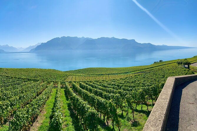 e-bike-tour-in-lavaux-vineyards-bikapa