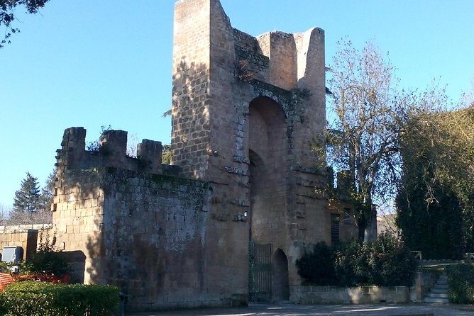 E-bike tour in Orvieto in small group: history, culture with lunch or dinner - Who Is This Tour Perfect For?