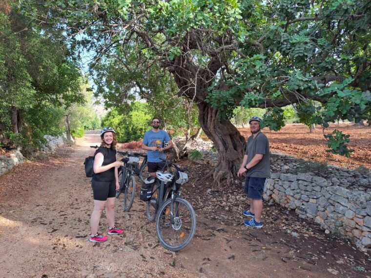e-bike-tour-in-ostuni-huge-olive-trees-and-a-rock-village