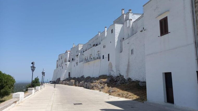 e-bike-tour-in-ostuni-huge-olive-trees-and-a-rock-village