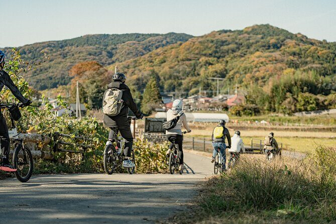 E-bike tour in the country side of Saitama near Tokyo - The Experience: Practical Details and Insights