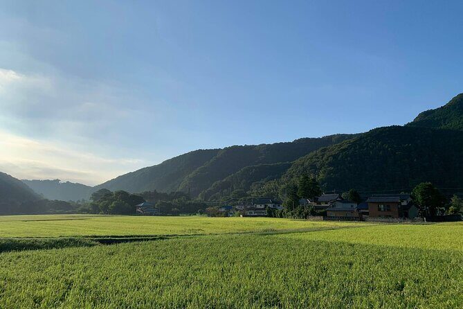 E-bike tour in the country side of Saitama near Tokyo - The Sum Up: Who Should Consider This Tour?