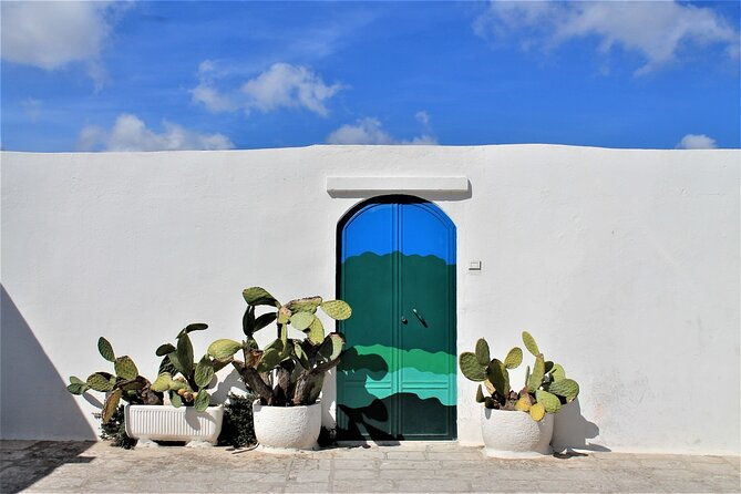 e-bike-tour-in-the-plain-of-the-secular-olive-trees-of-ostuni-2