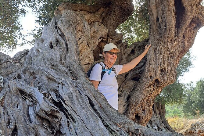 e-bike-tour-in-the-plain-of-the-secular-olive-trees-of-ostuni