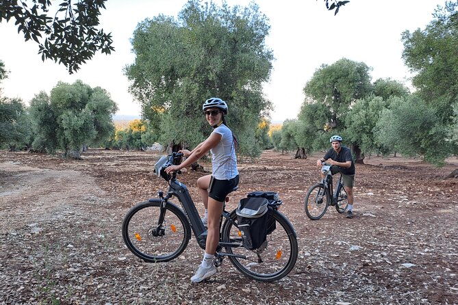 e-bike-tour-in-the-plain-of-the-secular-olive-trees-of-ostuni