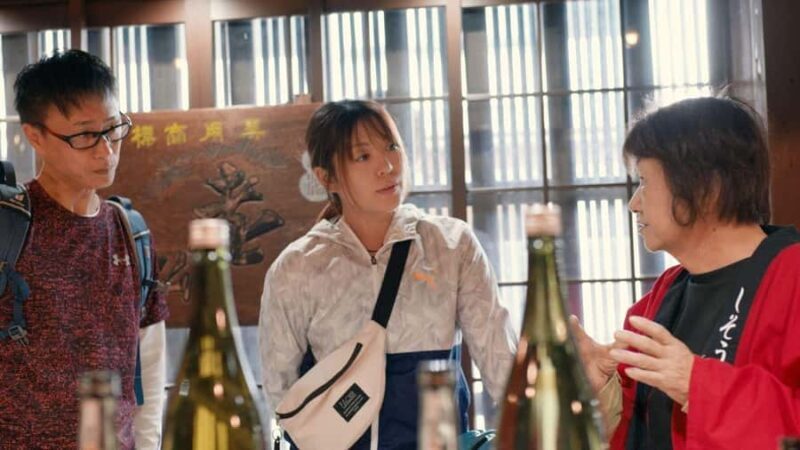 e-bike Tour in the Shiso Region with Lunch at a Sake Brewery - A Closer Look at the Itinerary and Highlights