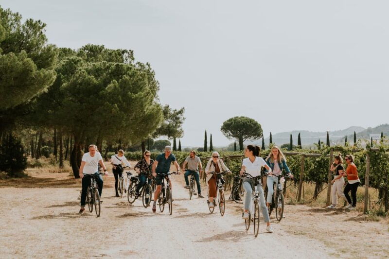 e-bike-tour-picnic-in-an-exclusive-winery-estate