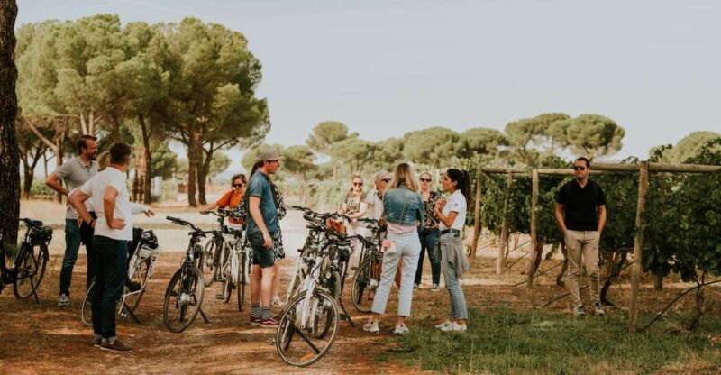e-bike-tour-picnic-in-an-exclusive-winery-estate