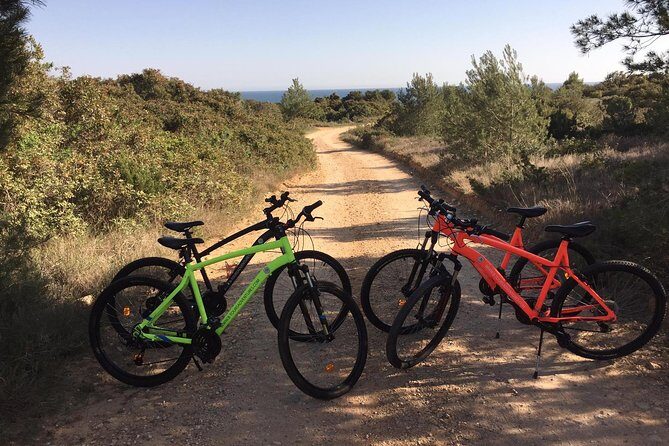 E-Bike Tour: Sete Vales Suspensos Trail (Marinha and Benagil) - An In-Depth Look at the Experience