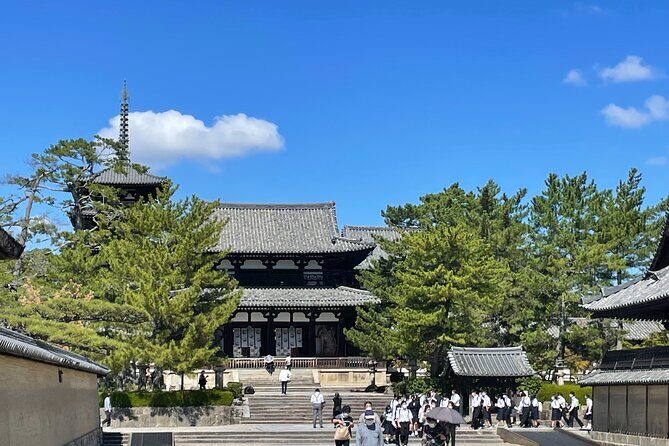 E-Bike Tour through Ikarugas Temples and Countryside - Insights from the Travelers