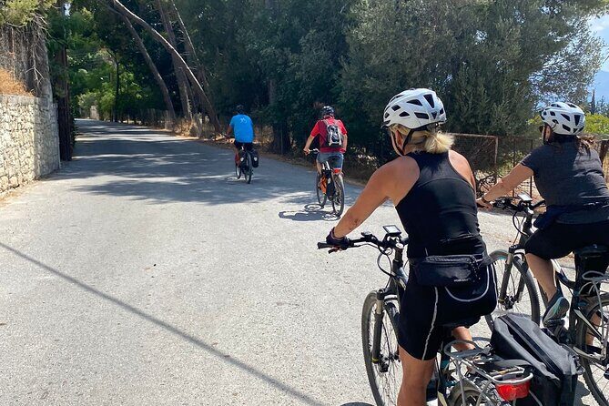 E-Bike Tour with Wine Tasting in Dafnes, Heraklion - Introduction