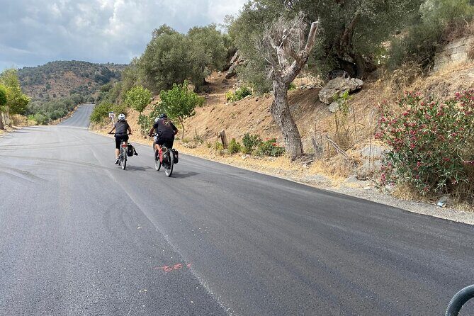 E-Bike Tour with Wine Tasting in Dafnes, Heraklion - Who Would Love This Tour?