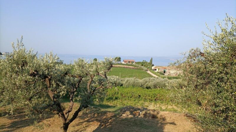 e-bike-tour-with-wine-tasting-in-the-bardolino-area