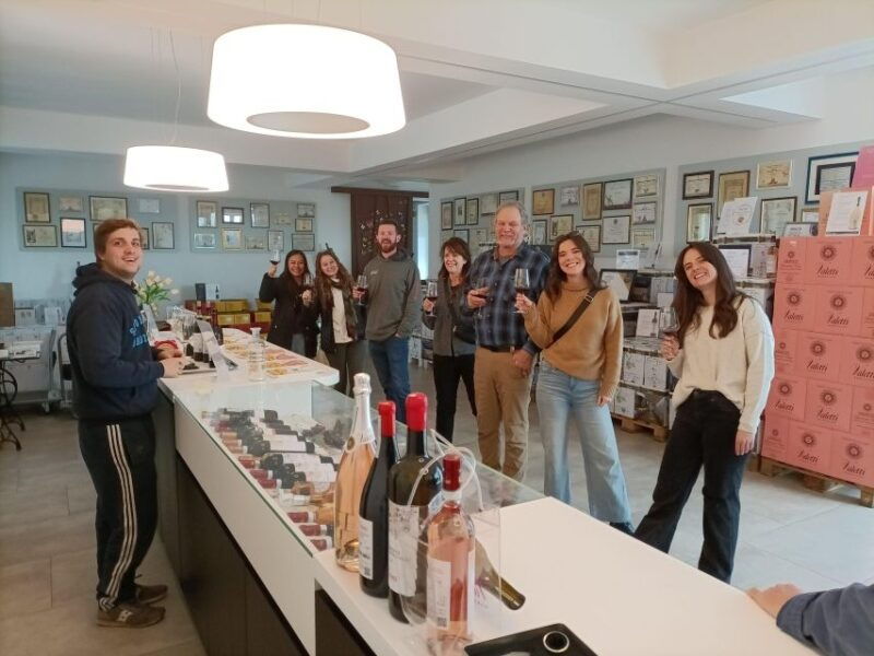 e-bike-tour-with-wine-tasting-in-the-bardolino-area