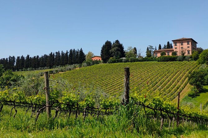 e-bike-tuscany-and-chianti-self-guided-tour-with-farm-visit