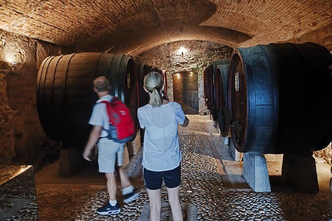 e-bike-tuscany-and-chianti-self-guided-tour-with-farm-visit