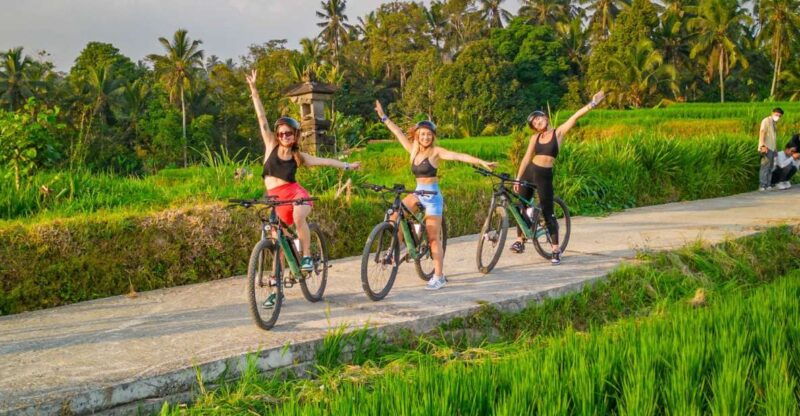 e-bike-ubud-rice-terraces-traditional-villages-cycling
