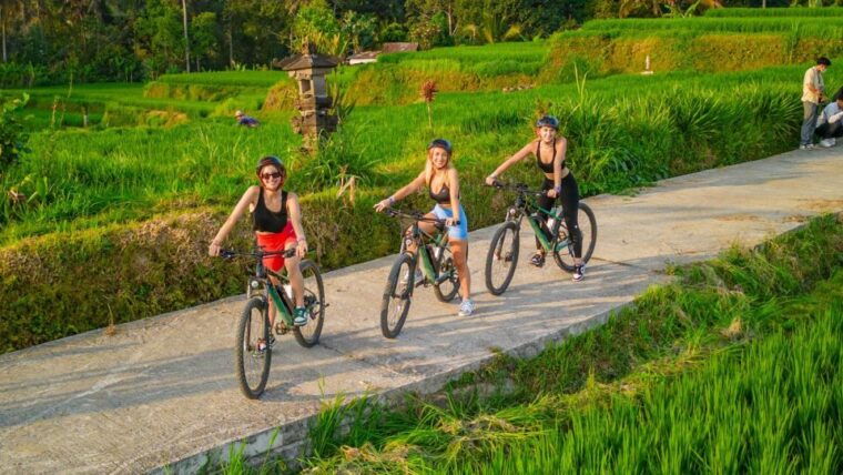 e-bike-ubud-rice-terraces-traditional-villages-cycling