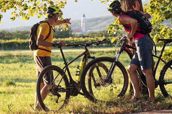 e-bike-vipava-river-tour-2